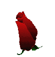 :gene021: